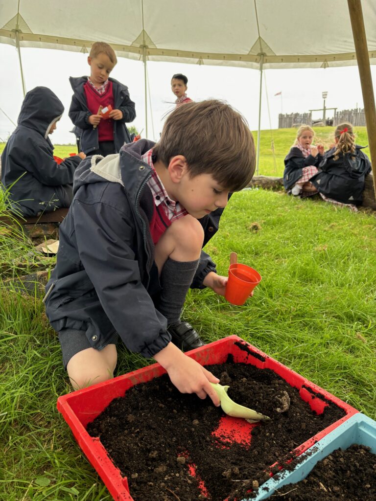 Tomato seeds&#8230;watch this space!, Copthill School