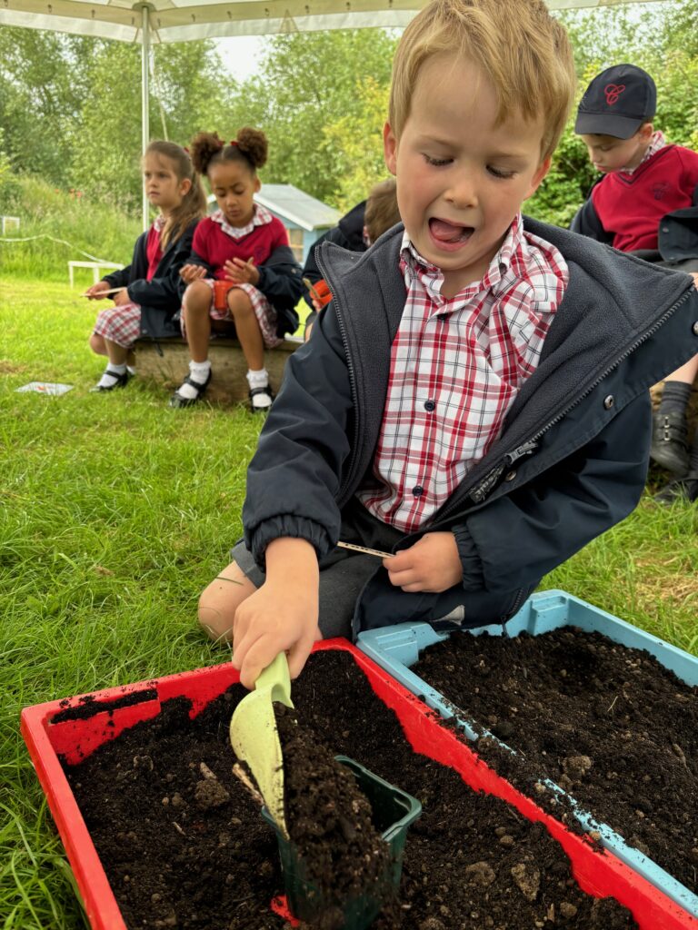 Tomato seeds&#8230;watch this space!, Copthill School