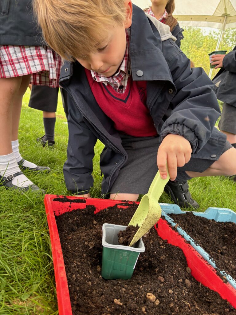 Tomato seeds&#8230;watch this space!, Copthill School