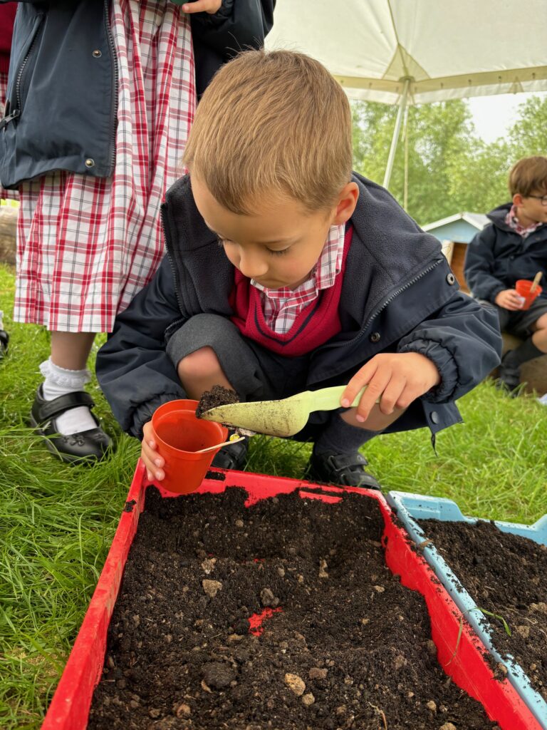 Tomato seeds&#8230;watch this space!, Copthill School