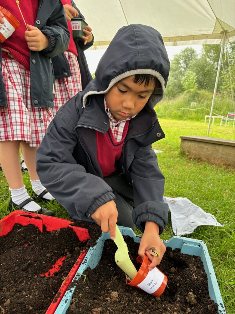 Tomato seeds&#8230;watch this space!, Copthill School