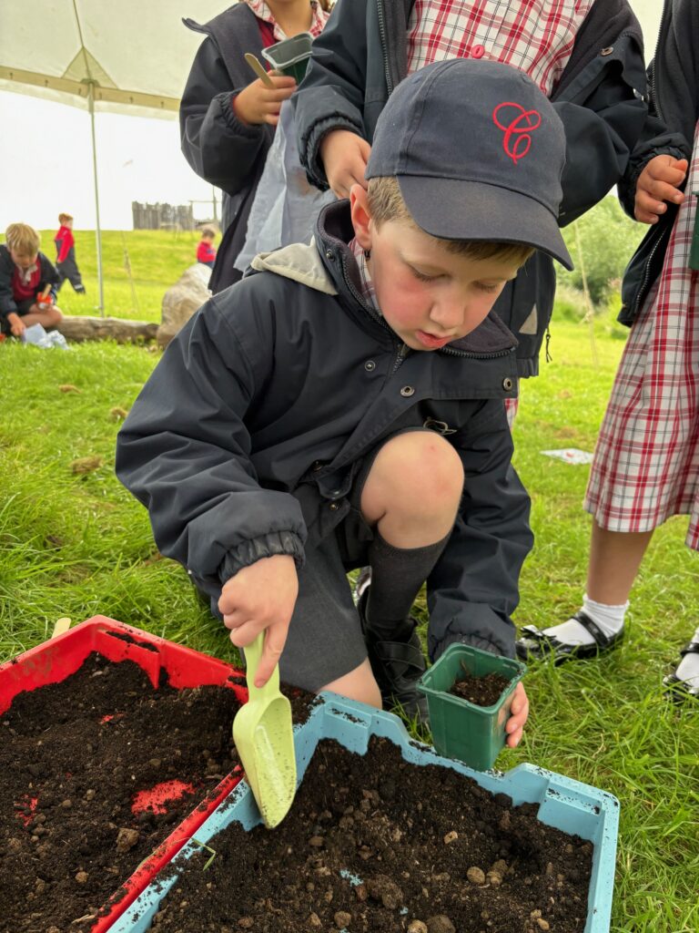 Tomato seeds&#8230;watch this space!, Copthill School