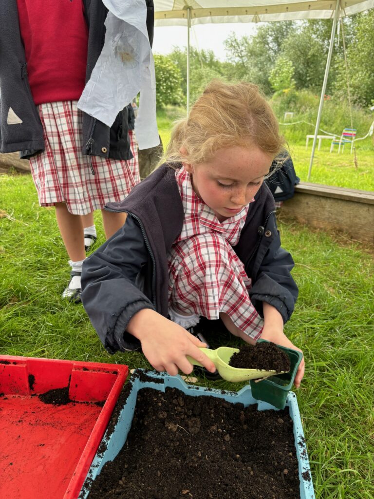 Tomato seeds&#8230;watch this space!, Copthill School