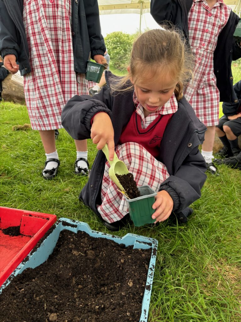 Tomato seeds&#8230;watch this space!, Copthill School