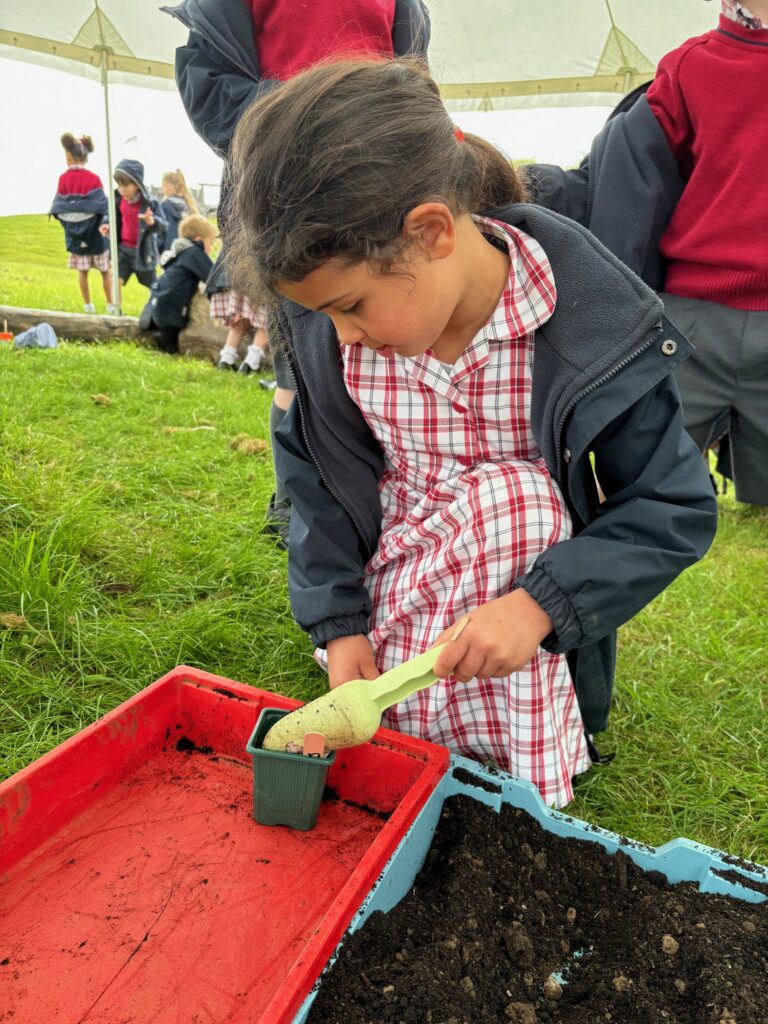 Tomato seeds&#8230;watch this space!, Copthill School