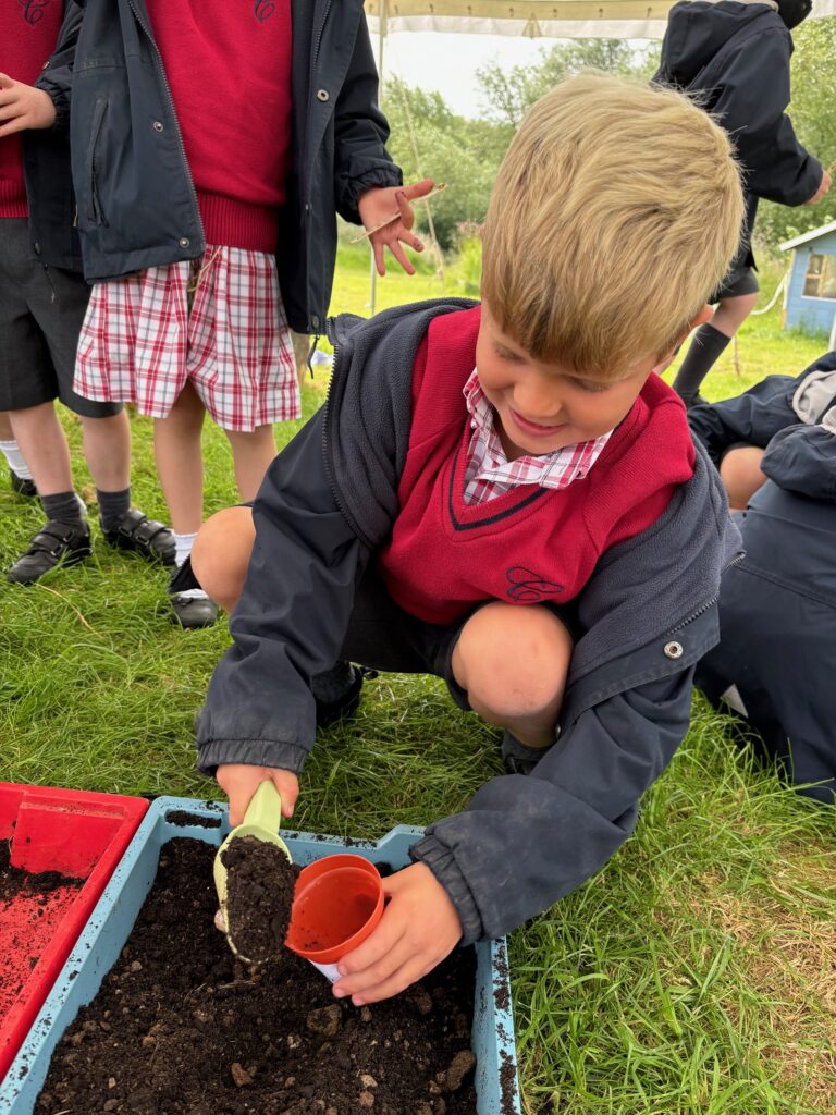 Tomato seeds&#8230;watch this space!, Copthill School