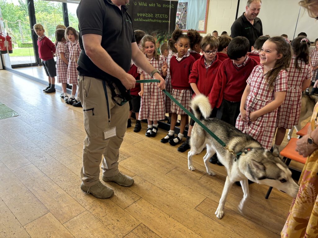 Spirit of the world experience and a host of inquisitive and daring year 1’s!, Copthill School