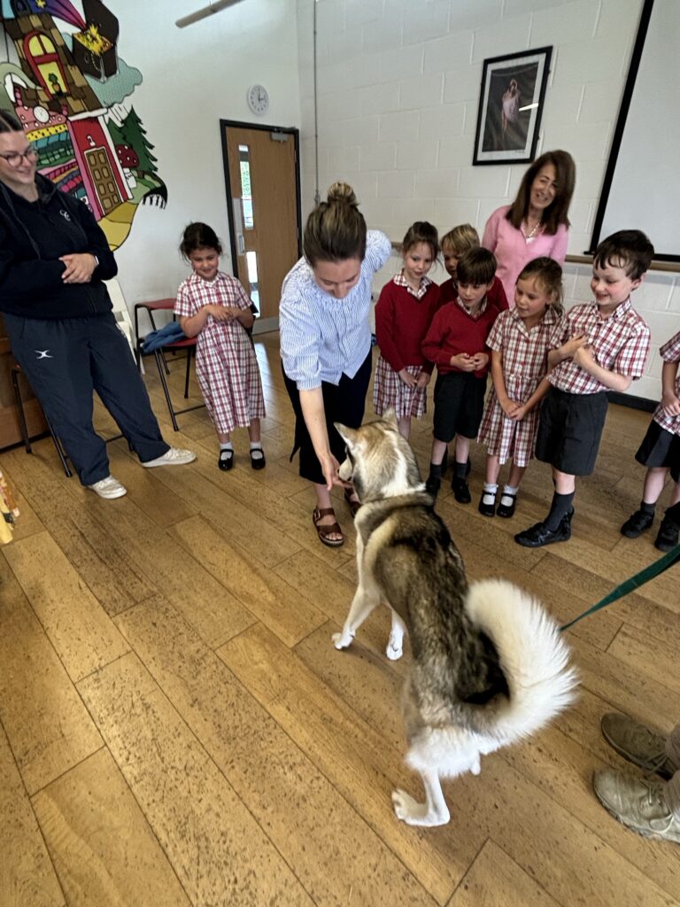 Spirit of the world experience and a host of inquisitive and daring year 1’s!, Copthill School