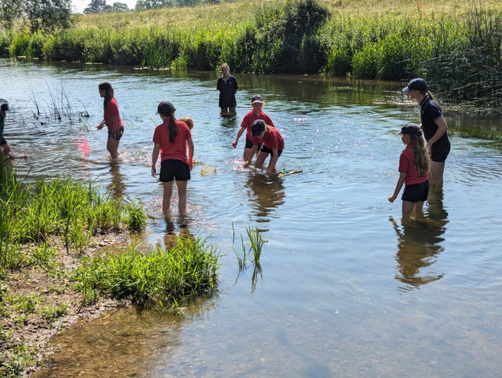 Summer has arrived!, Copthill School