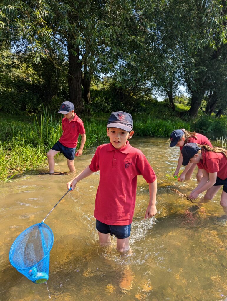 Summer has arrived!, Copthill School