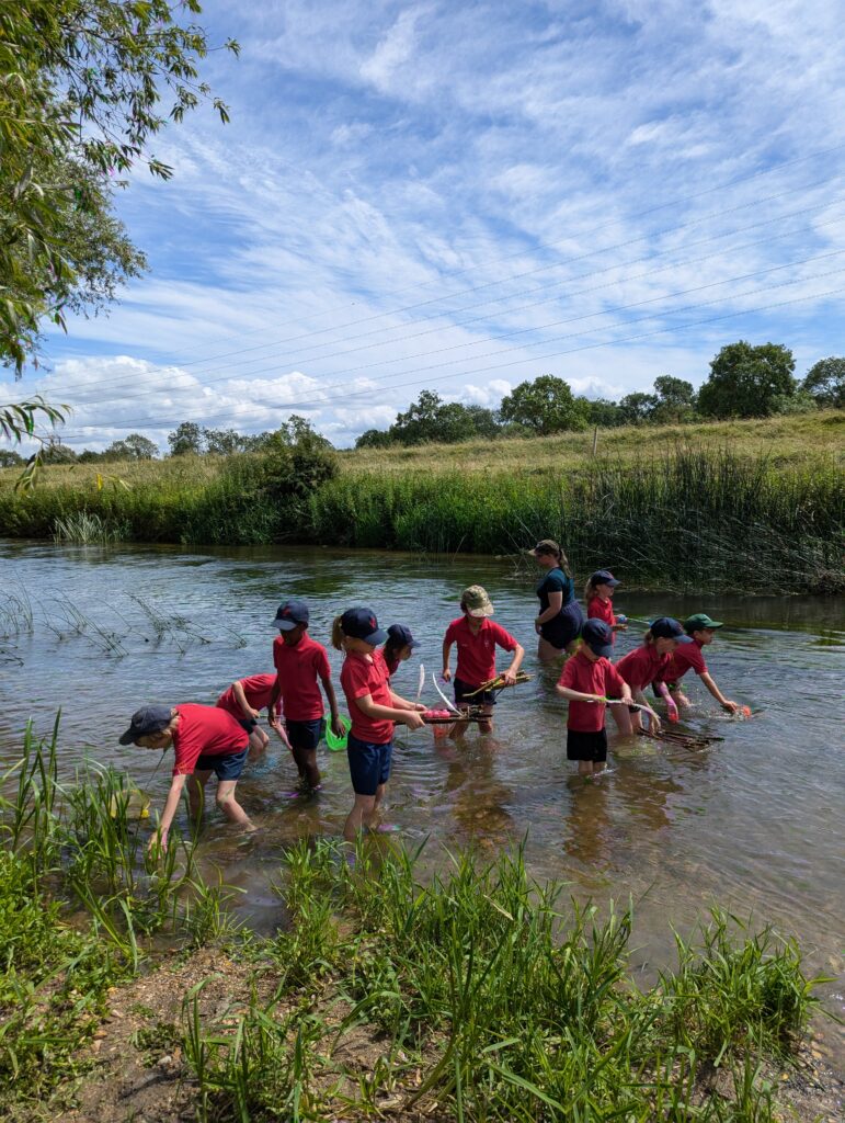 Summer has arrived!, Copthill School