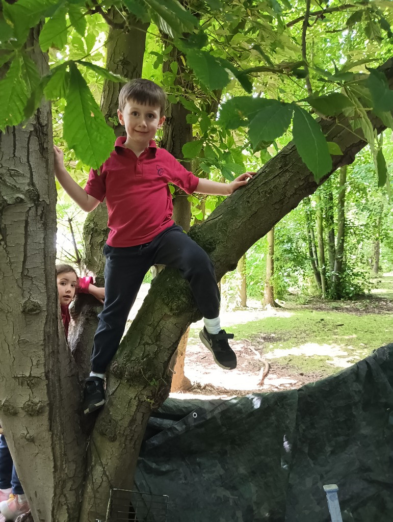 Forest school &#8211; den building and shadow art!, Copthill School