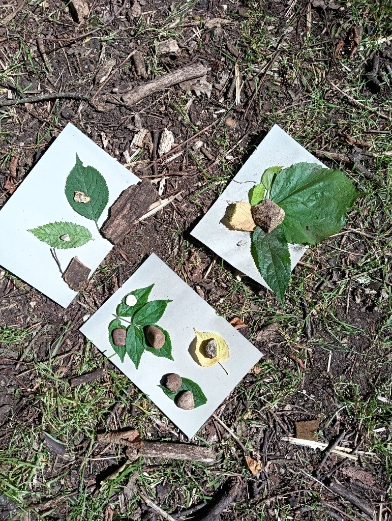 Forest school &#8211; den building and shadow art!, Copthill School