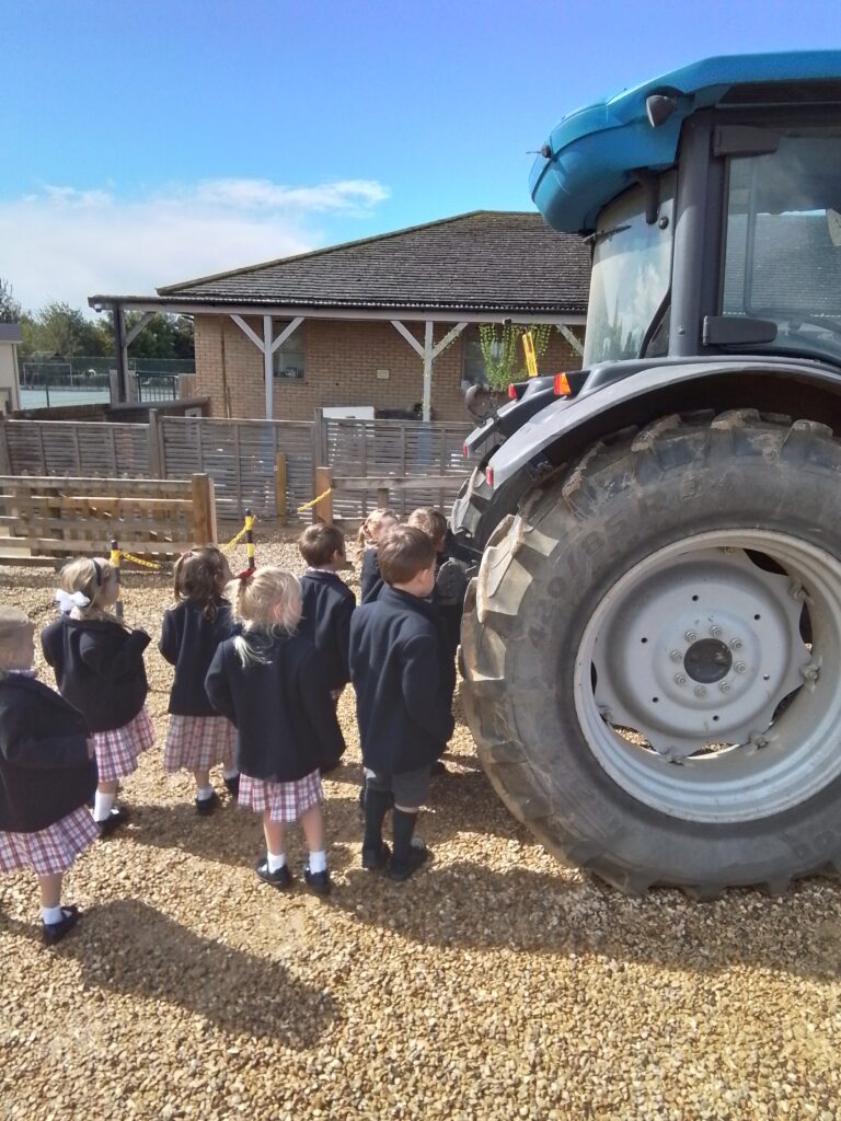 Blackberry Picking, Farming and Voting!, Copthill School