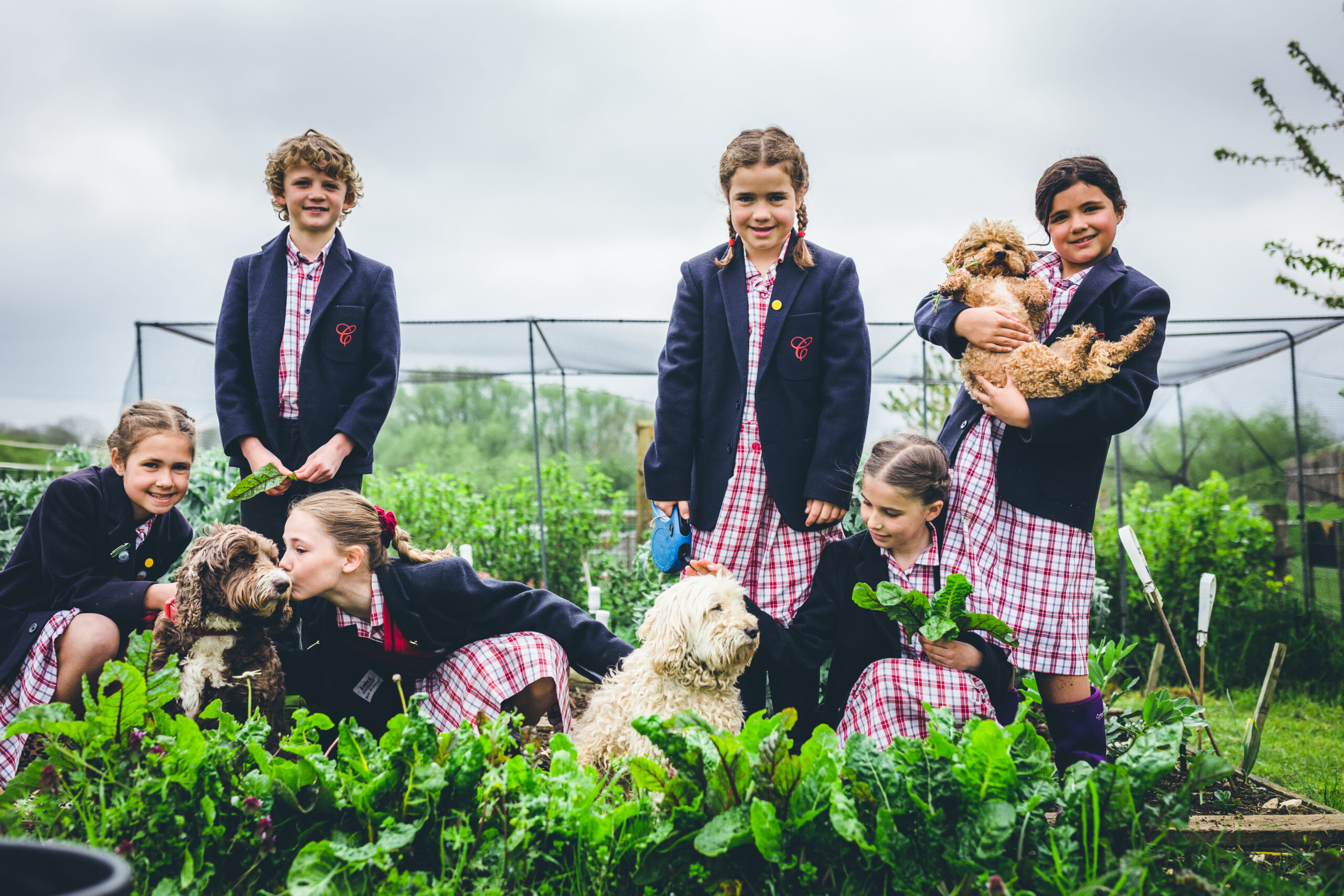 The Curriculum, Copthill School