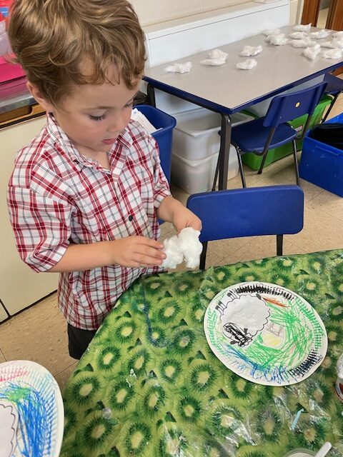 Cress sheep!, Copthill School