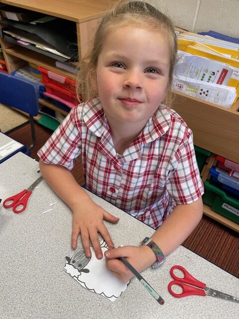 Cress sheep!, Copthill School