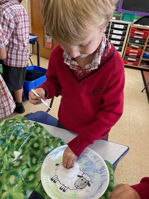 Cress sheep!, Copthill School