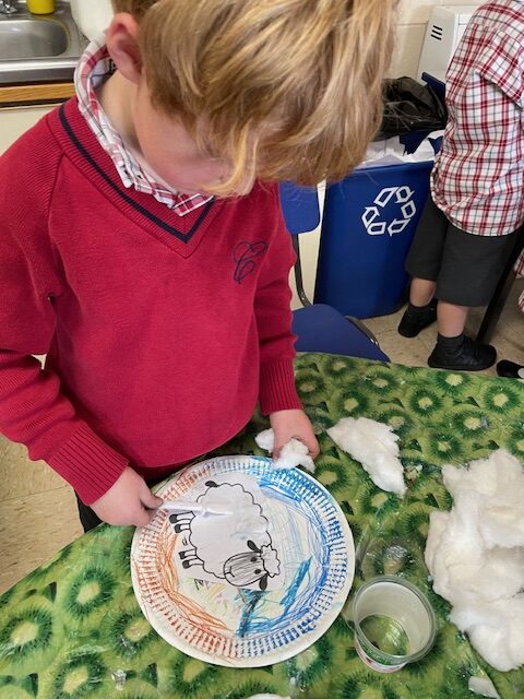 Cress sheep!, Copthill School