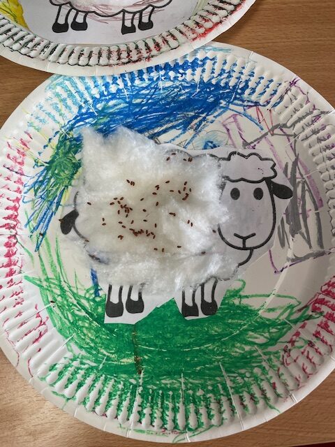 Cress sheep!, Copthill School