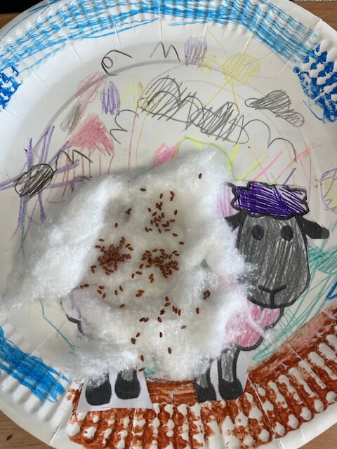 Cress sheep!, Copthill School