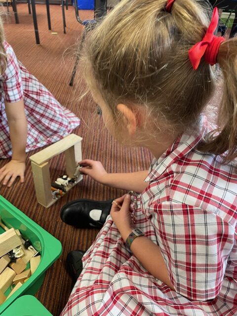 Cress sheep!, Copthill School