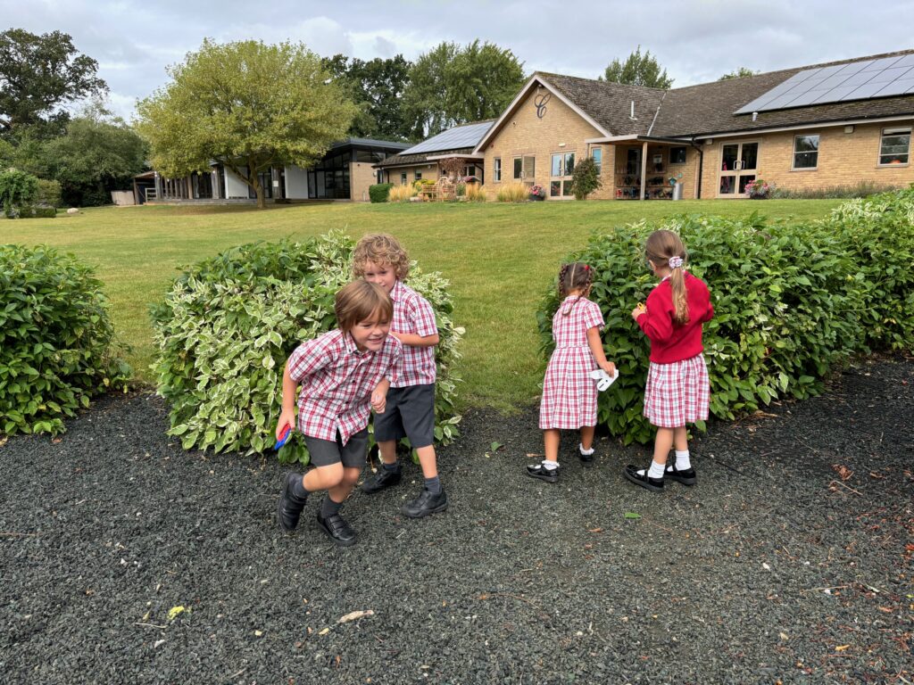 Maths and nature&#8230;, Copthill School