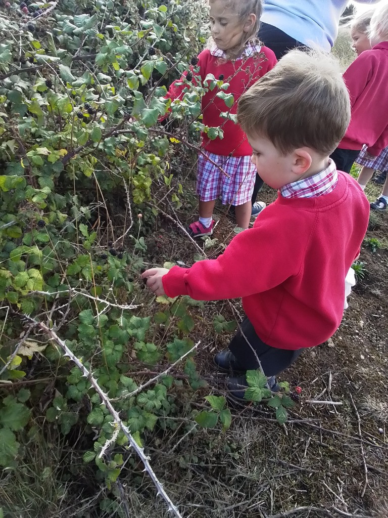 Happy Faces!, Copthill School