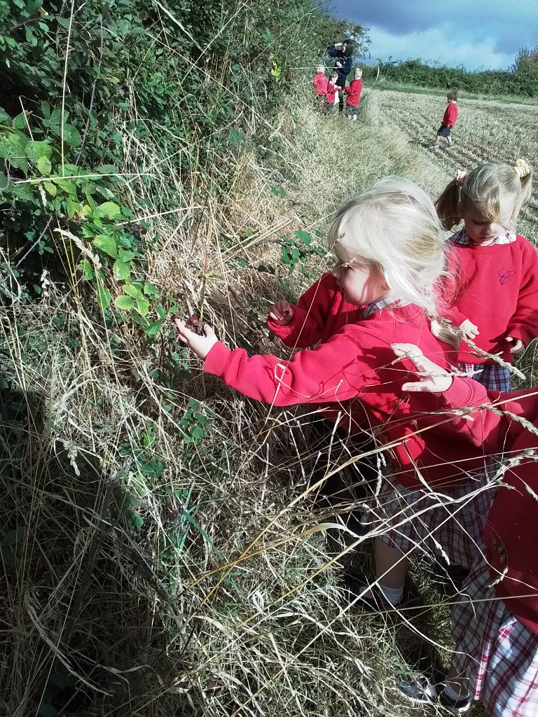 Happy Faces!, Copthill School