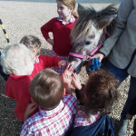 Furry and not-so-furry V.I.Ps come to Pre-School, Copthill School