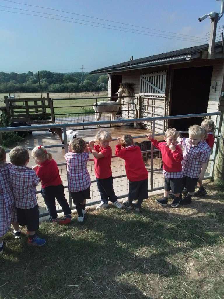 Exploring the outdoors!, Copthill School