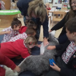 Furry and not-so-furry V.I.Ps come to Pre-School, Copthill School