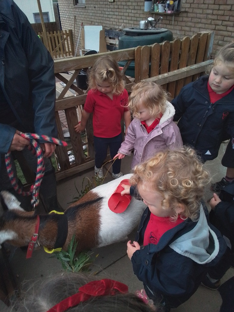 Special Visitors, Copthill School