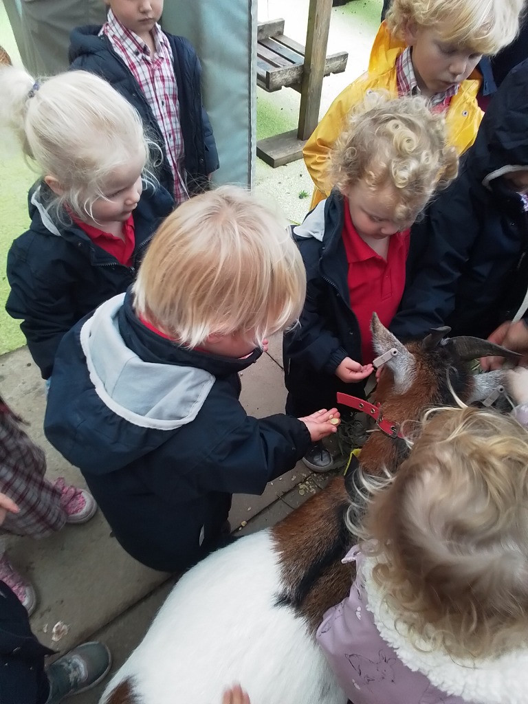 Special Visitors, Copthill School