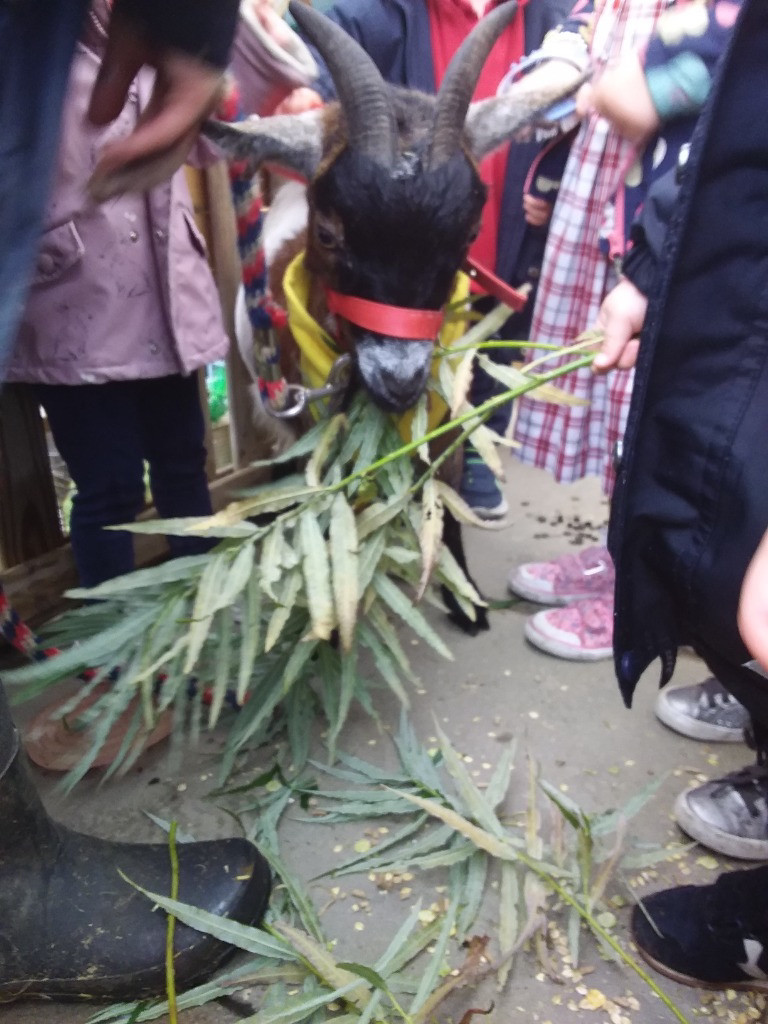 Special Visitors, Copthill School