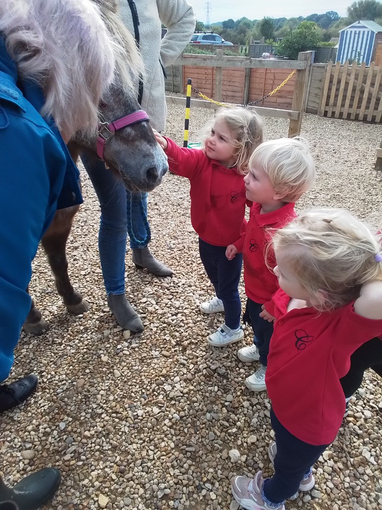 Special Visitors, Copthill School