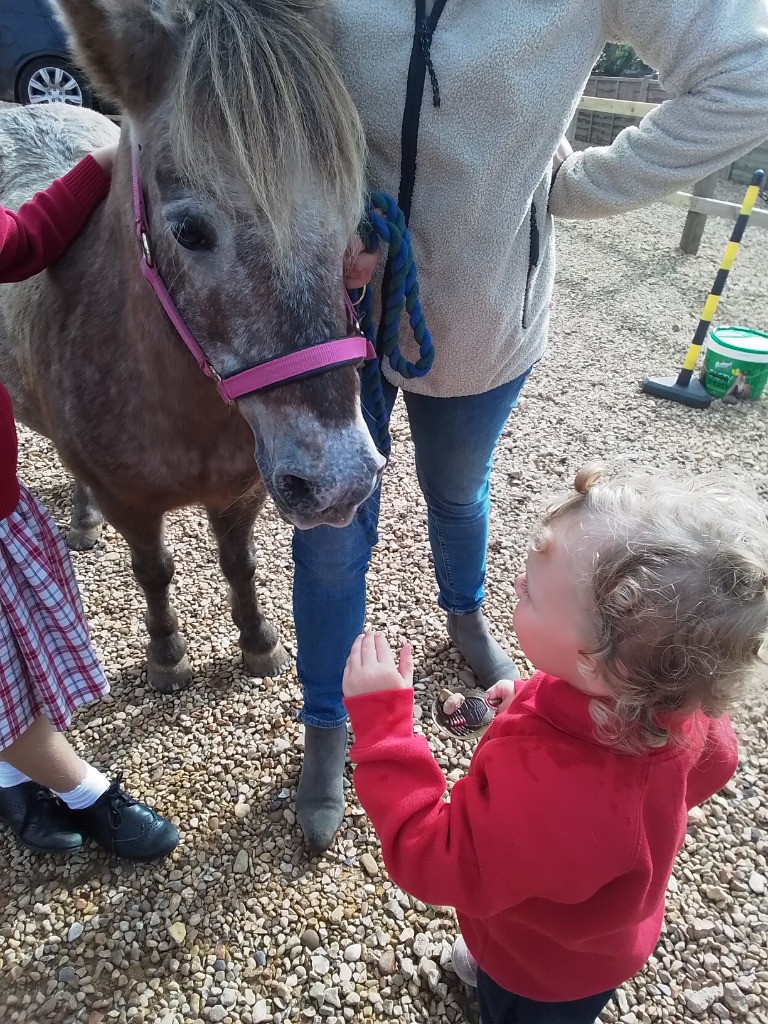 Special Visitors, Copthill School