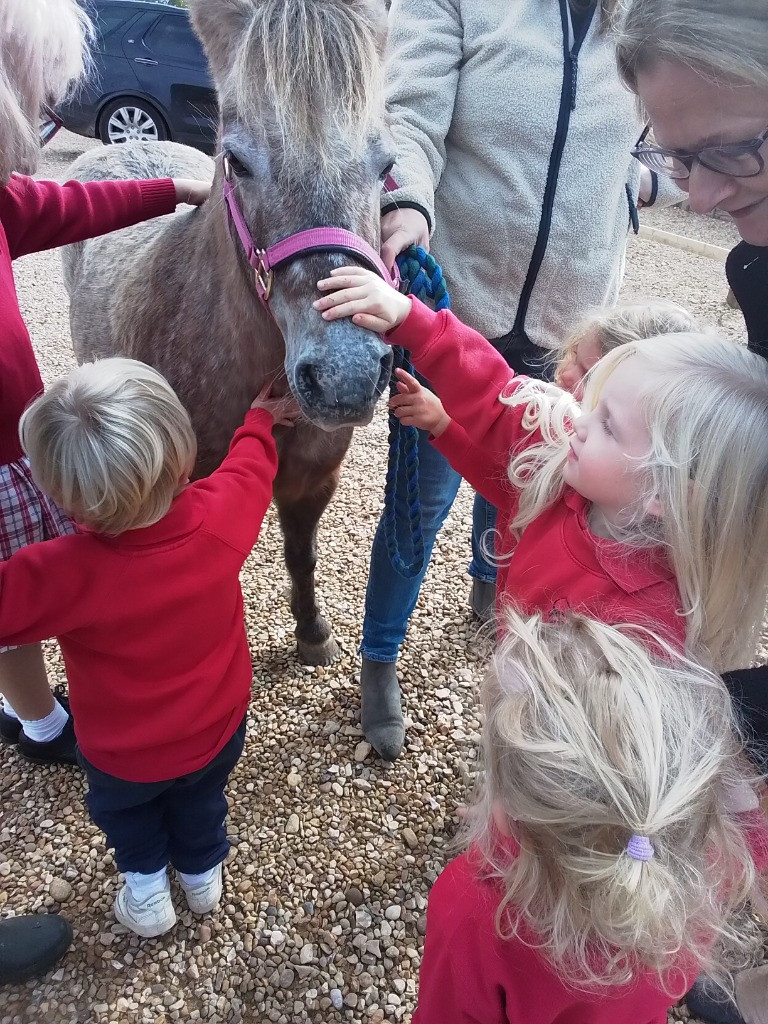 Special Visitors, Copthill School