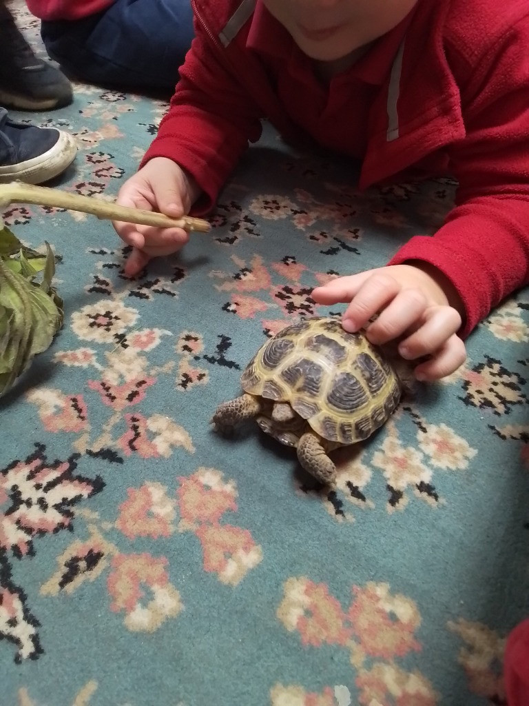 Special Visitors, Copthill School