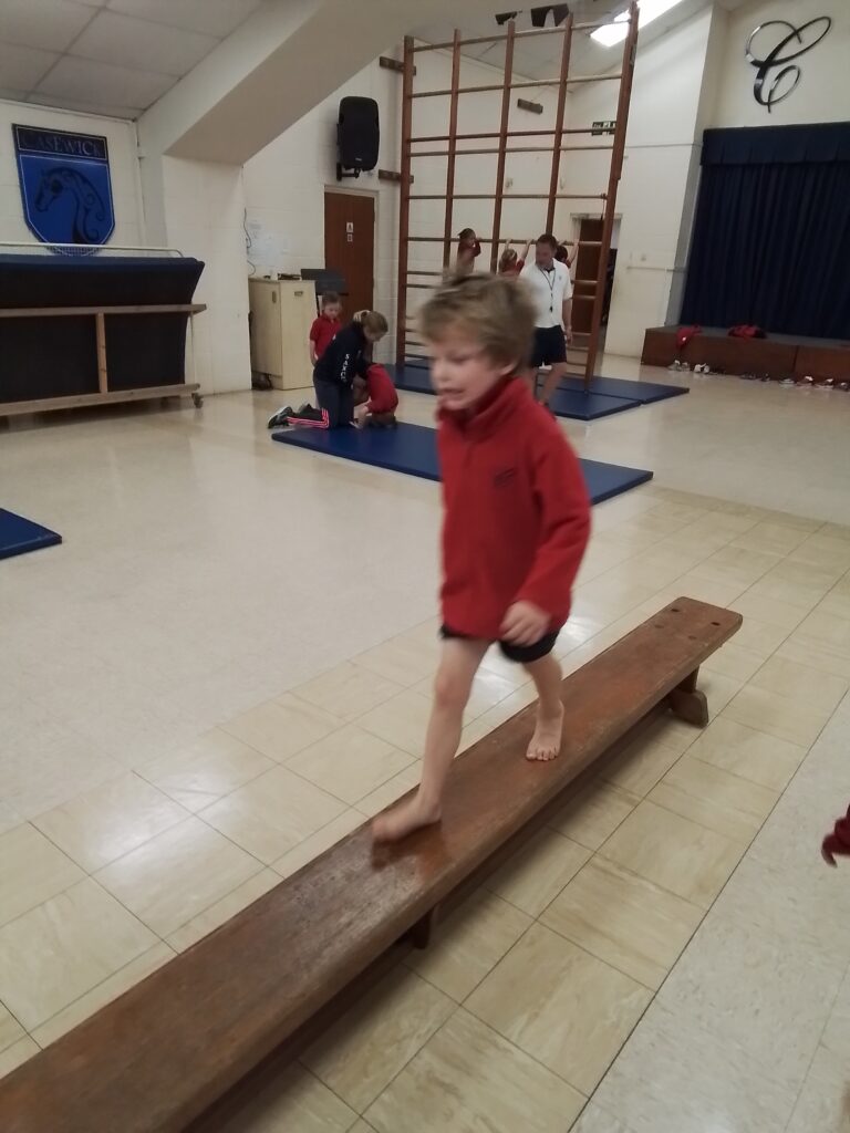 Incredible Gymnasts and Super Throwers!, Copthill School