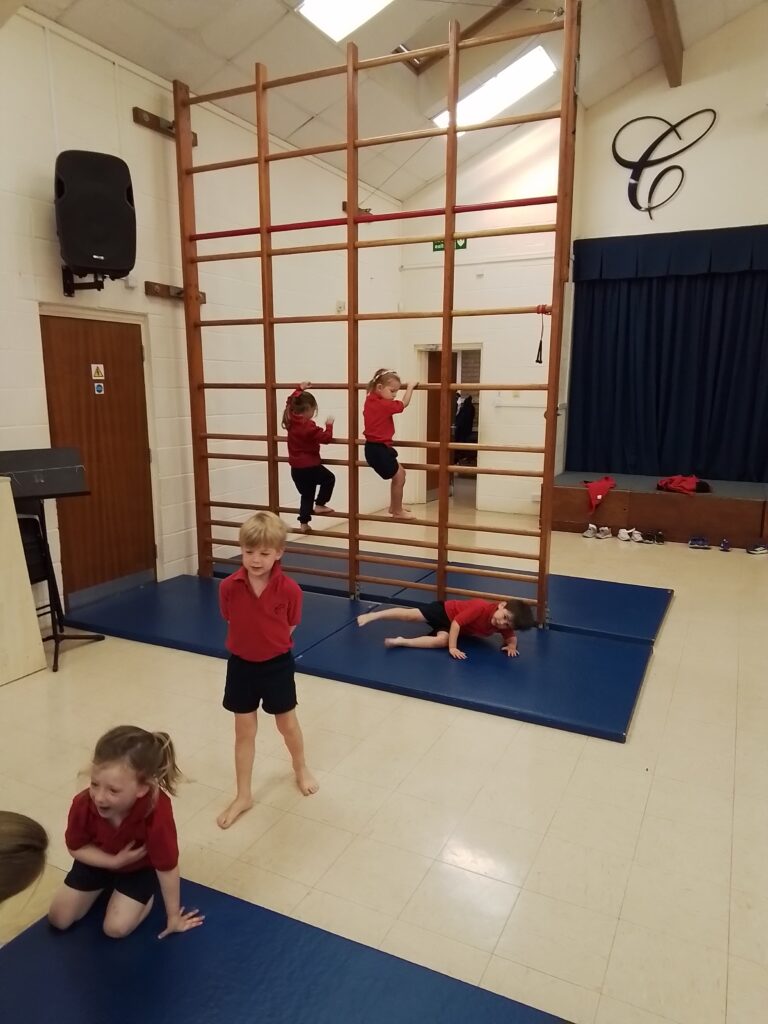 Incredible Gymnasts and Super Throwers!, Copthill School