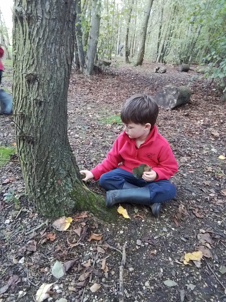 Go Outside And Learn!, Copthill School