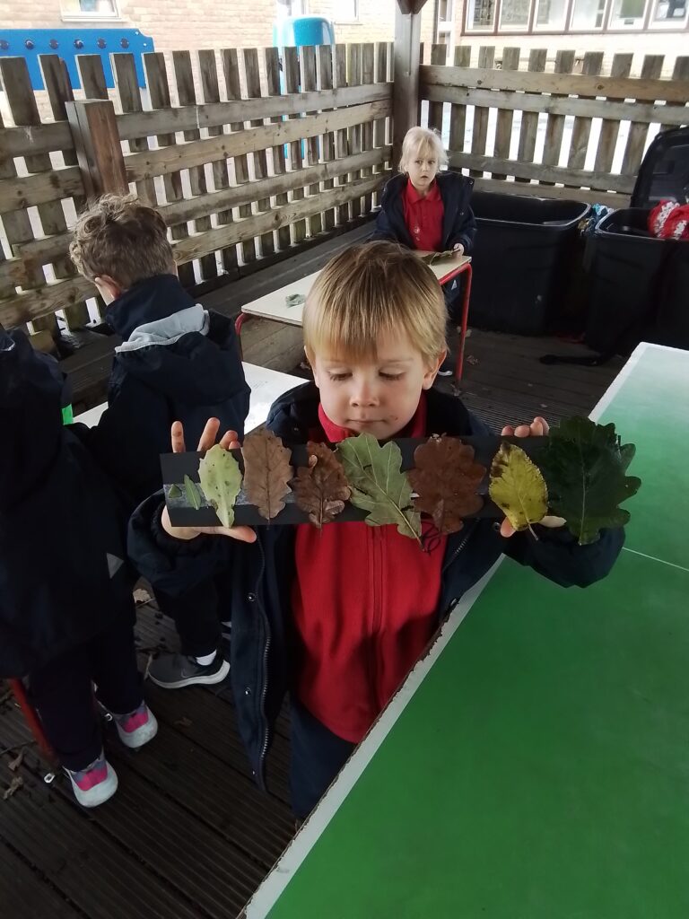 Go Outside And Learn!, Copthill School