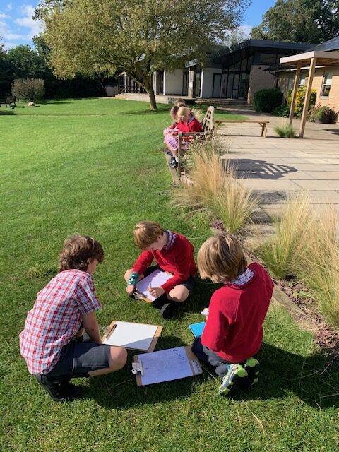 National poetry day, Copthill School