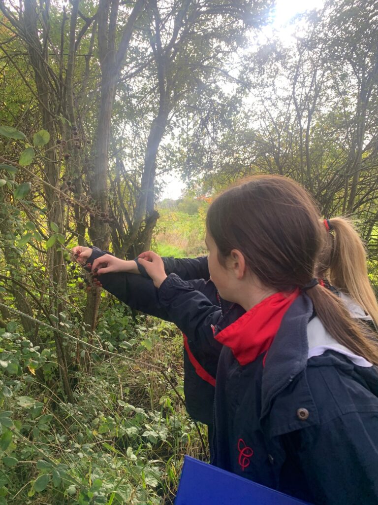 5W explore the old canal system, Copthill School