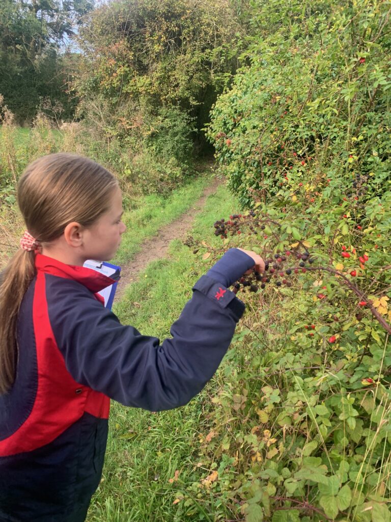 5W explore the old canal system, Copthill School