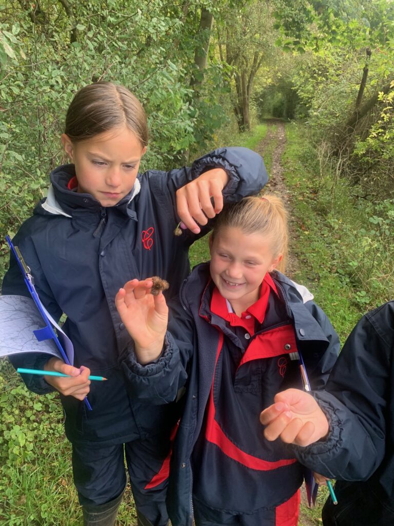 5W explore the old canal system, Copthill School