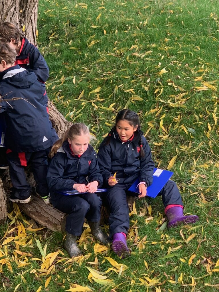 5W explore the old canal system, Copthill School