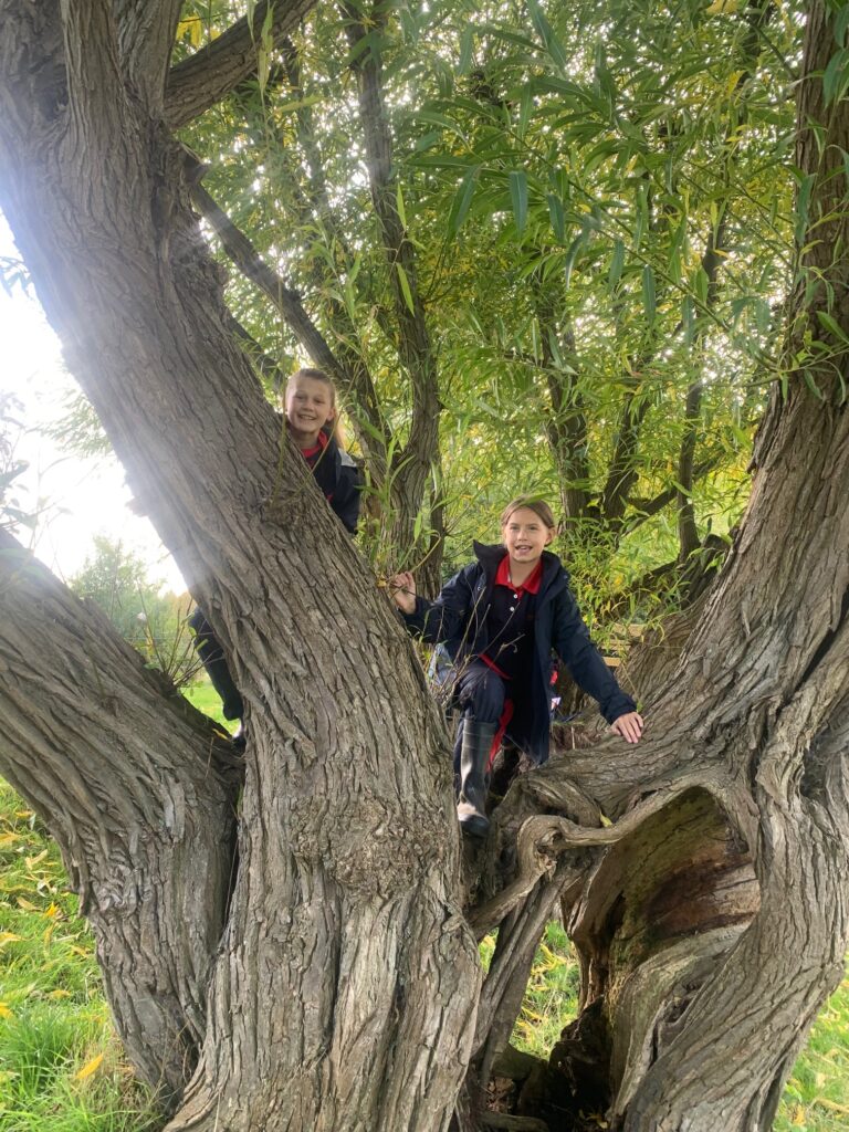 5W explore the old canal system, Copthill School