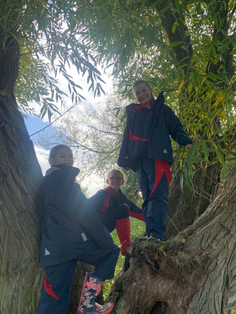 5W explore the old canal system, Copthill School